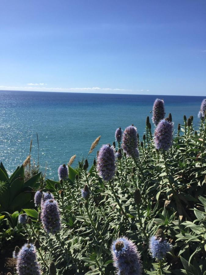Calheta Ocean View Family Apartment - Air Condition Estreito Da Calheta Kültér fotó